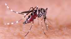 622 مليون دولار للسيطرة على انتشار فيروس زيكا