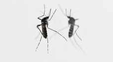 بعوض "زيكا" منتشر في غالبية الولايات الأميركية