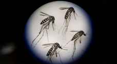 توقعات بانتهاء عدوى فيروس زيكا خلال عامين أو ثلاثة