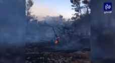 بالفيديو: حريق يلتهم عدة دونمات في دبين