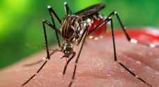 تحذير اممي من خطر زيكا