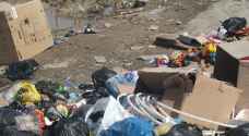 بالصور.. شكاوى من انتشار الكلاب الضالة والنفايات بمخيم البقعة