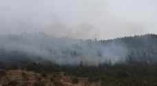 إخماد حريق 70 دونم أشجار حرجية وأعشاب جافة في عجلون..صور