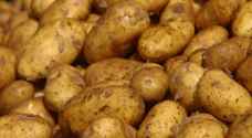 بعد توجه لاستيرادها .. منع إدخال 100 طن بطاطا محلية للسوق