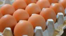 الحكومة تحدد سقوفا سعرية لبيض المائدة