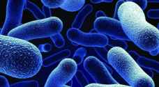 منظمة الصحة: 12 عائلة بكتيرية تمثل أكبر تهديد للبشر