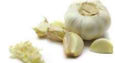 6 أسباب تجعلك تتوقف عن تناول الثوم فوراً