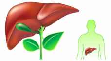 أعراض قد تدل على مشاكل في الكبد