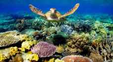 اليونسكو تدعو استراليا لفعل المزيد وحماية الحاجز المرجاني