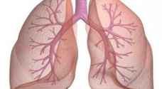 عقار لعلاج تليف الشعب الهوائية