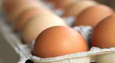 تحذيرات من شراء البيض المعروض في الشوارع