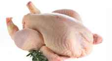 انخفاض أسعار الدجاج ٦%