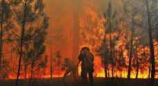 تجدد حرائق الغابات في البرتغال