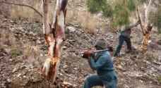 ضبط حطب مقطوع بصورة مخالفة في عجلون
