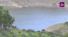 ارتفاع مخزون السدود في الاغوار الشمالية