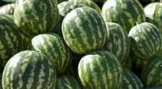 الزراعة تنفي وجود متبقيات مبيدات في البطيخ المخطط