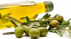 الزيتون يخفض خطر الإصابة بأمراض القلب والسرطان
