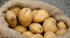 "الزراعة" تدعو إلى تخزين البطاطا والبصل بطريقة سليمة