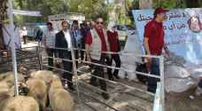 الشواربة يدعو لتنظيم بيع وذبح الأضاحي بالمواقع المحددة وبمظهر حضاري