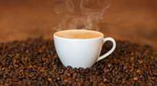 نبأ غير سار لمحبي القهوة.. "كارثة مرضية" بحقول البن