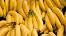 الزراعة تسمح باستيراد الموز