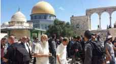 101 مستوطن يجددون إقتحام الأقصى