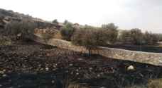 حرائق تلتهم 900 دونم من أراضي زراعية في منطقة بيرين بالزرقاء- صور