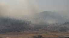حريق يأتي على 800 دونم في ثغرة عصفور بجرش - فيديو وصور