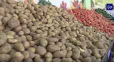 "المهندسين الزراعيين" تطمئن الأردنيين حول سلامة للبطاطا