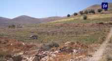 عشرات الدونمات في وادي الوالة مهددة بالجفاف - فيديو