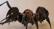 "الروبوت النملة" يستطيع القفز والتواصل والعمل الجماعي
