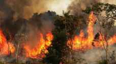 غابات الأمازون "رئة الأرض" .. شاهدوا كيف تحترق .. صور وفيديوهات