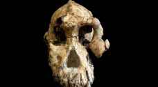 اكتشاف جمجمة عمرها 3.8 مليون عاما في إثيوبيا