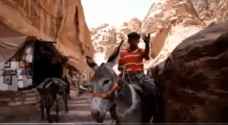 "سلطة إقليم البترا" تعتذر عن فيديو "ضرب الحمار"