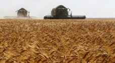 سوريا تشهد نموا في المحاصيل عام 2019