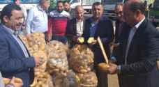 الأردن .. لجان زراعية وخط ساخن لفحص جودة البطاطا بعد شكاوى تعفنها