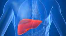 تحذير.. تناول هذه الأطعمة يدمر الكبد