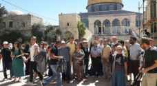 مستوطنون يقتحون الأقصى لتلقي شروحات عن "الهيكل المزعوم"