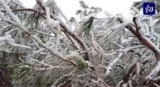 الأرصاد تحذر من خطر تشكل الصقيع هذه الليلة