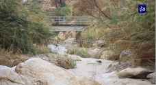 وادي بن حماد في الكرك.. كنز سياحي ضائع بسبب حالة الطريق - فيديو