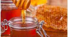 الأردن ينتج 340 طن عسل العام الماضي