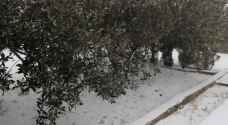 تساقط الثلوج في جنوب الأردن.. فيديو وصور