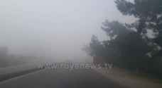 ضباب كثيف يغطي طريق اربد - عجلون.. صور