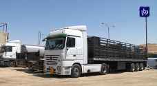 الحجر والمناولة.. إجراءات حكومية لمنع دخول فيروس كورونا عبر الشاحنات - فيديو