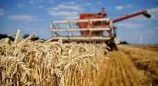 سوريا تطرح مناقصة لشراء 200 ألف طن من القمح