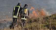 الدفاع المدني يتعامل مع 342 حريق أعشاب جافة وأشجار حرجية ومثمرة - صور