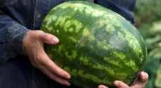 كيف تختار بطيخة حمراء؟