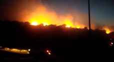 حريق كبير في غابات السلط.. فيديو