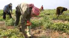 الزراعة لـ "رؤيا": جاهزون لأي سيناريو لضمان توريد الغذاء للأسواق الأردنية.. فيديو