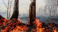 حرائق الغابات تطال القطب الشمالي